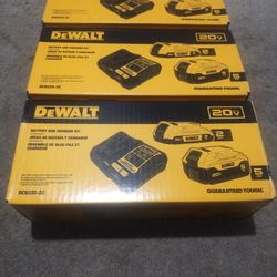 DeWalt Battery Kit 