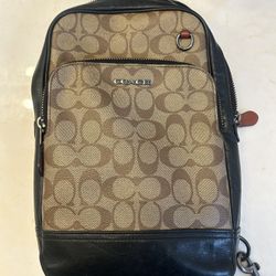 Coach Carrying Bag 
