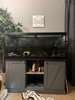 75 gallon fish tank.