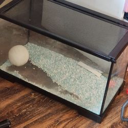 Fish Tank