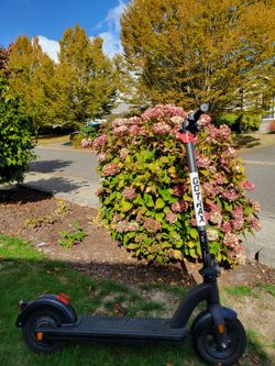Gotrax Electric Scooter
