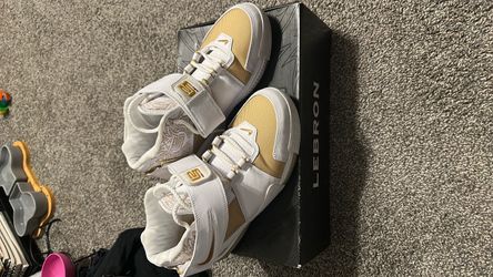 Zoom LeBron 2