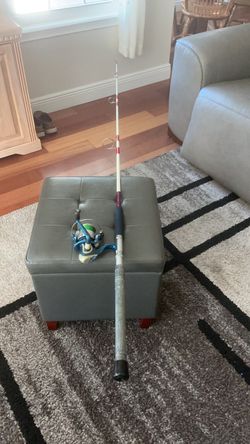 7 ft. Saltwater Rod, and Berkeley reel.
