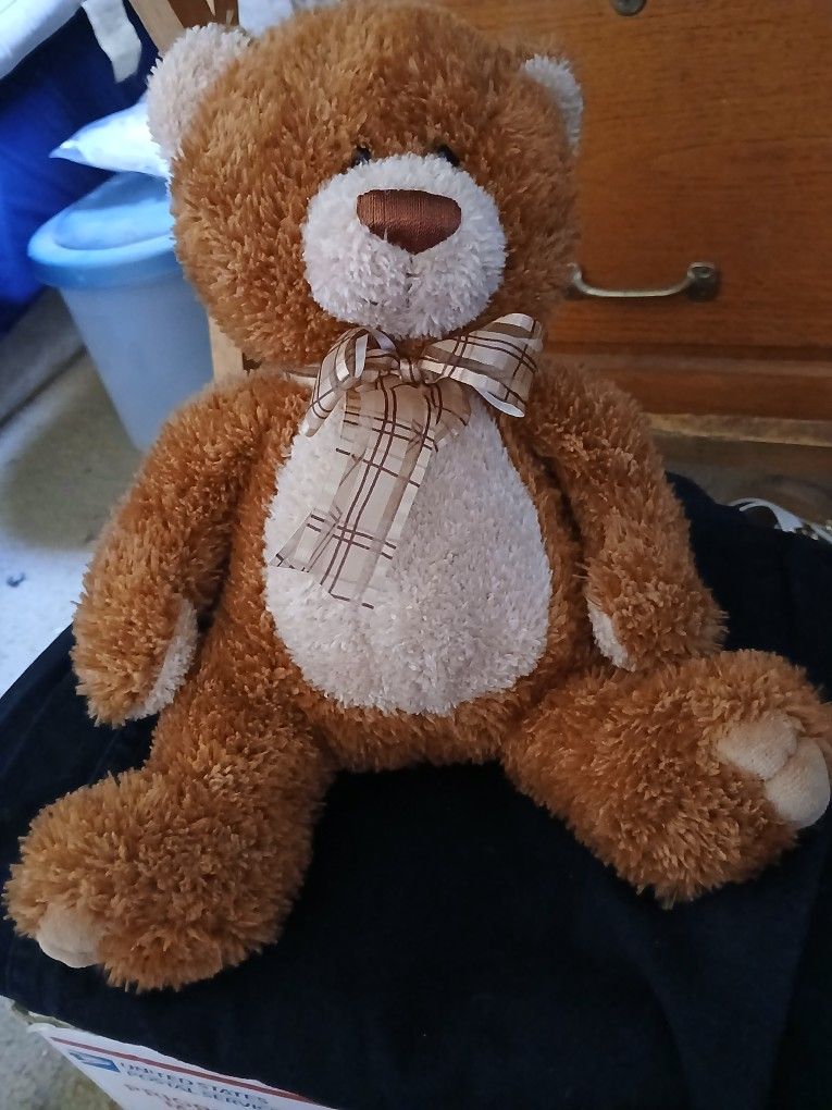 Brown Teddy