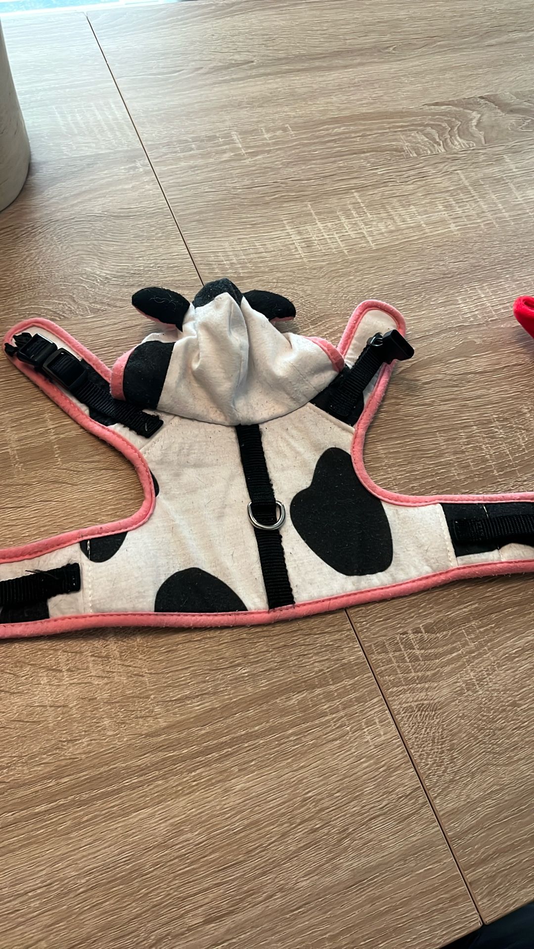 Cow Harness For Cats