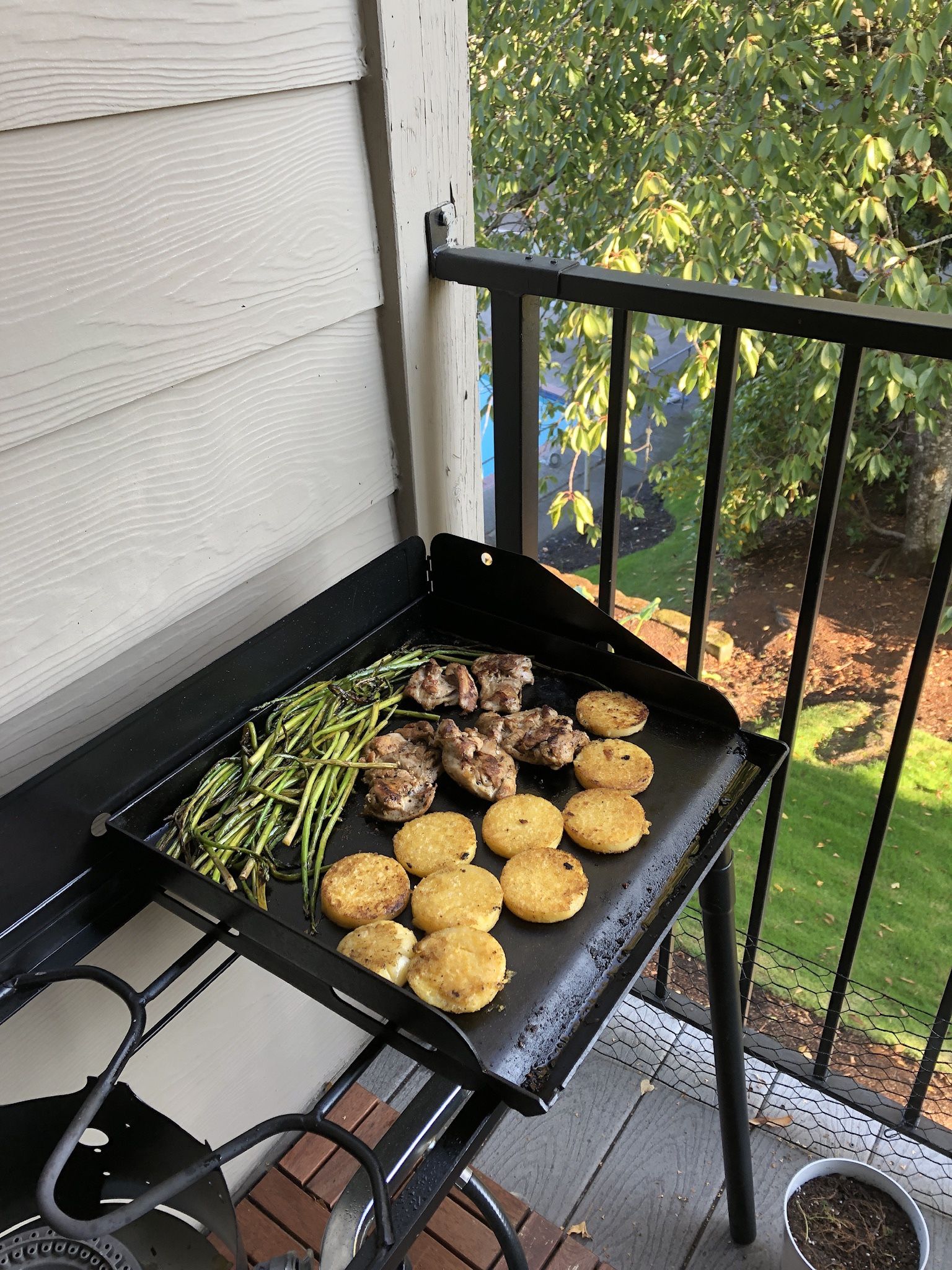 Half Price Camp Chef Setup