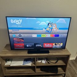 Vizio 42 inch TV with Amazon Fire stick