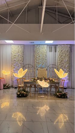 LED butterfly lights