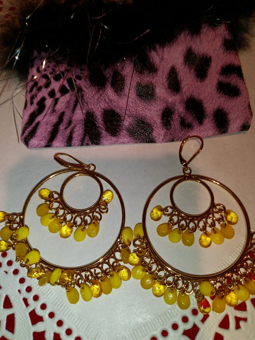 Earrings With Decorative Bag 