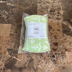 PRINCESS HOUSE SPECIALTY NON SCRATCH SPONGE