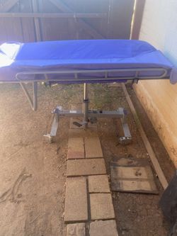 Hydraulic Shower Trolley