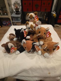 TY Beanie babies cats