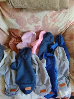 Small Pet Hoodies