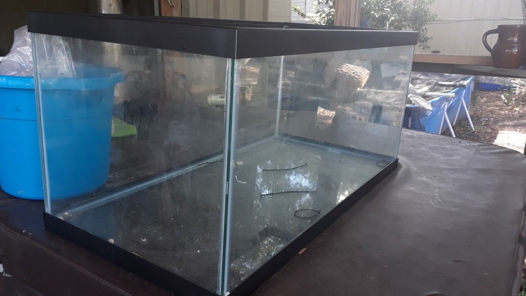 40 gallon breeder