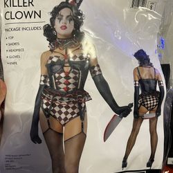 Woman’s Clown Costume