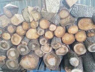 Oak firewood