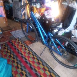 27 Speed Schwinn Bike 