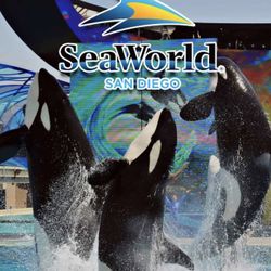 San diego Seaworld day Tickets 