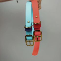 Dog Collar BioThane 