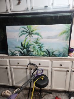 Canvas Wall Art