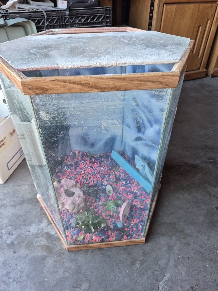 Fish Tank