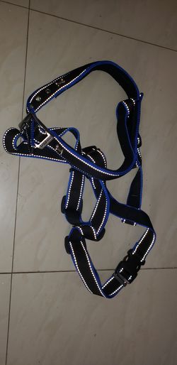 Dog harness
