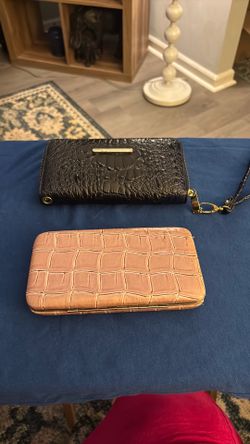 Clutch/Wallets