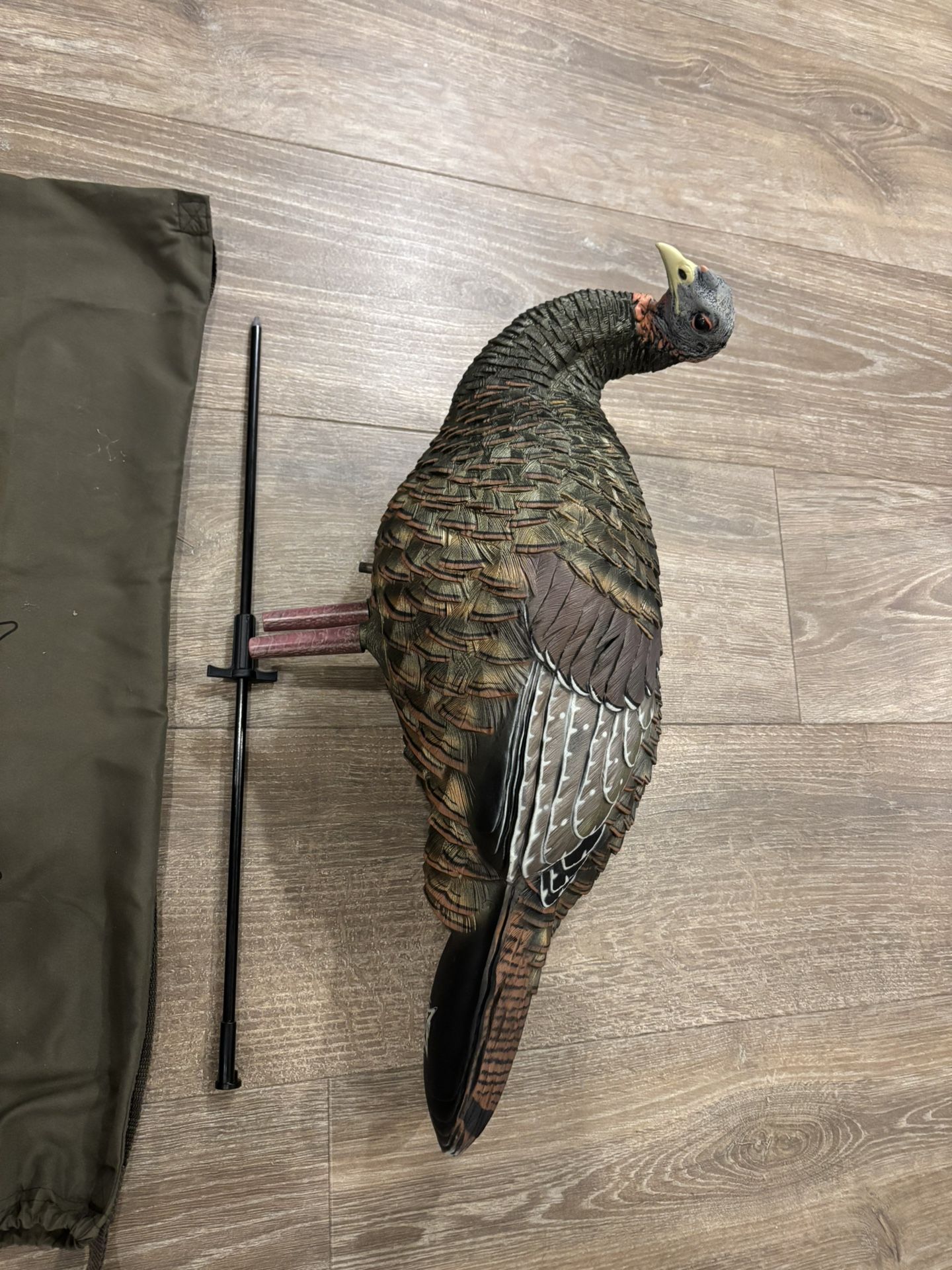 Avian X LCD Feeder Hen