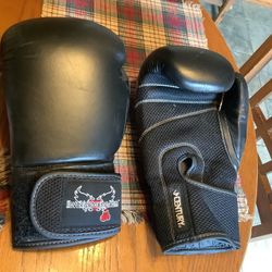 Kick boxing set of like new gloves with adjustable straps no rips these are 14 ounce gloves