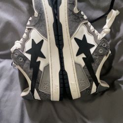 Bape sta sk8