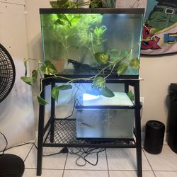 20 Gallon Fish Tank And Stand 