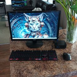 Acer 22-in LCD with Built-in Speakers