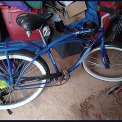 Woodwind Bike 