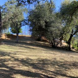 Work I Do Big Weed Whacking Jobs 