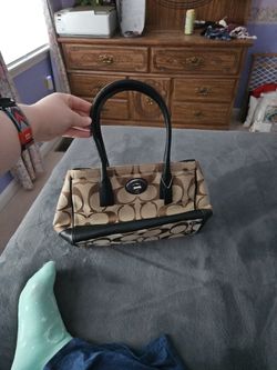 Small Brown Coach Bag