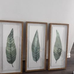 3 Leaf Prints 28x12  Wood Frames 