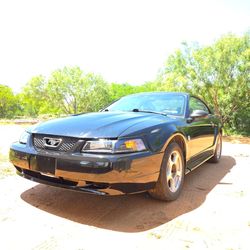 2004 Ford mustang  for sale not parts
