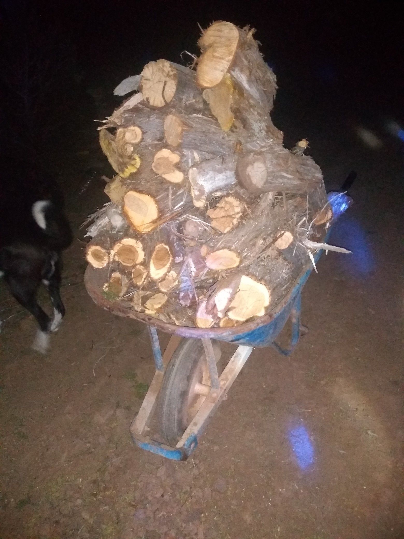Wheelbarrow of already cut wood $20