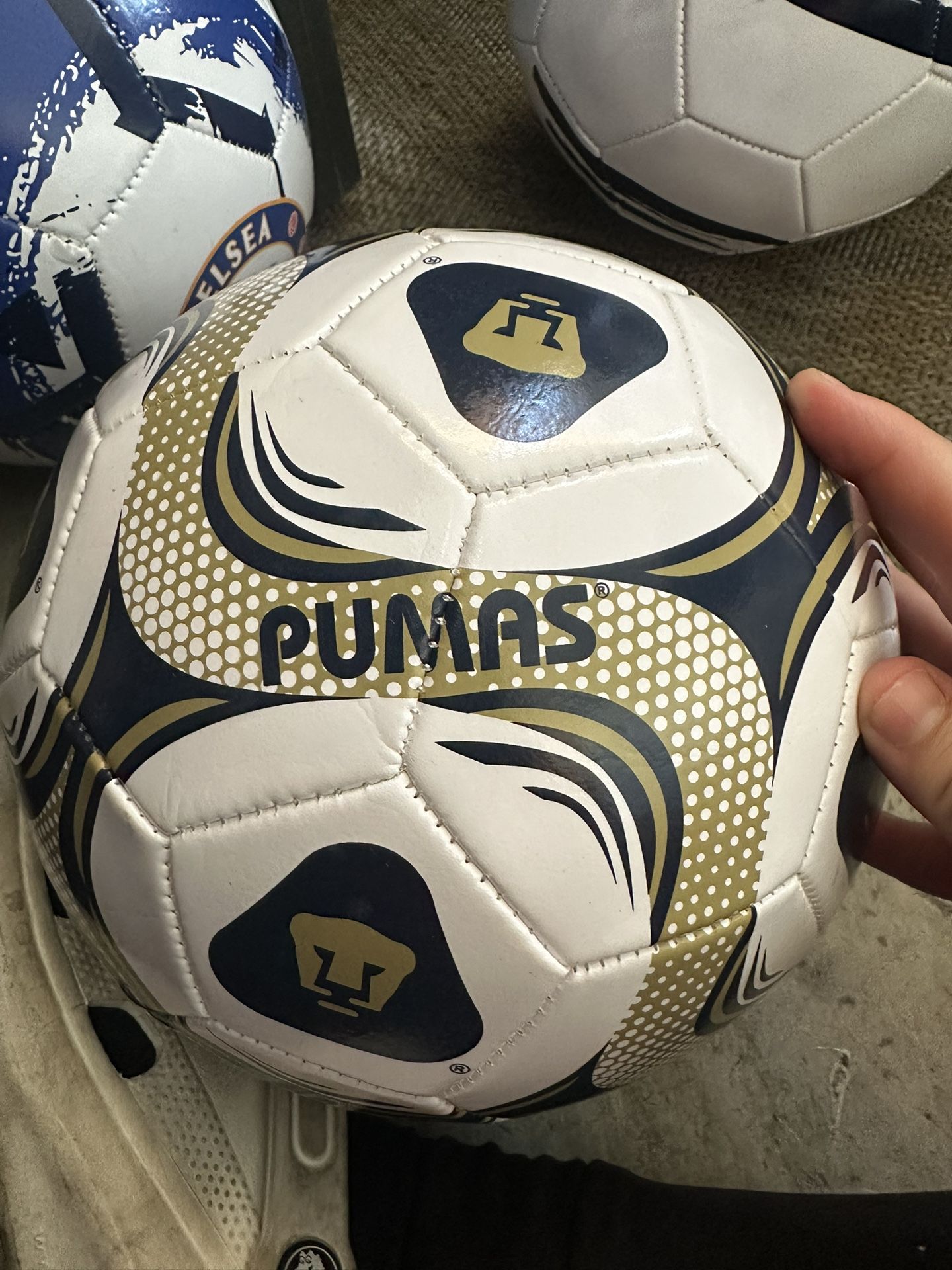 Pumas Size Five