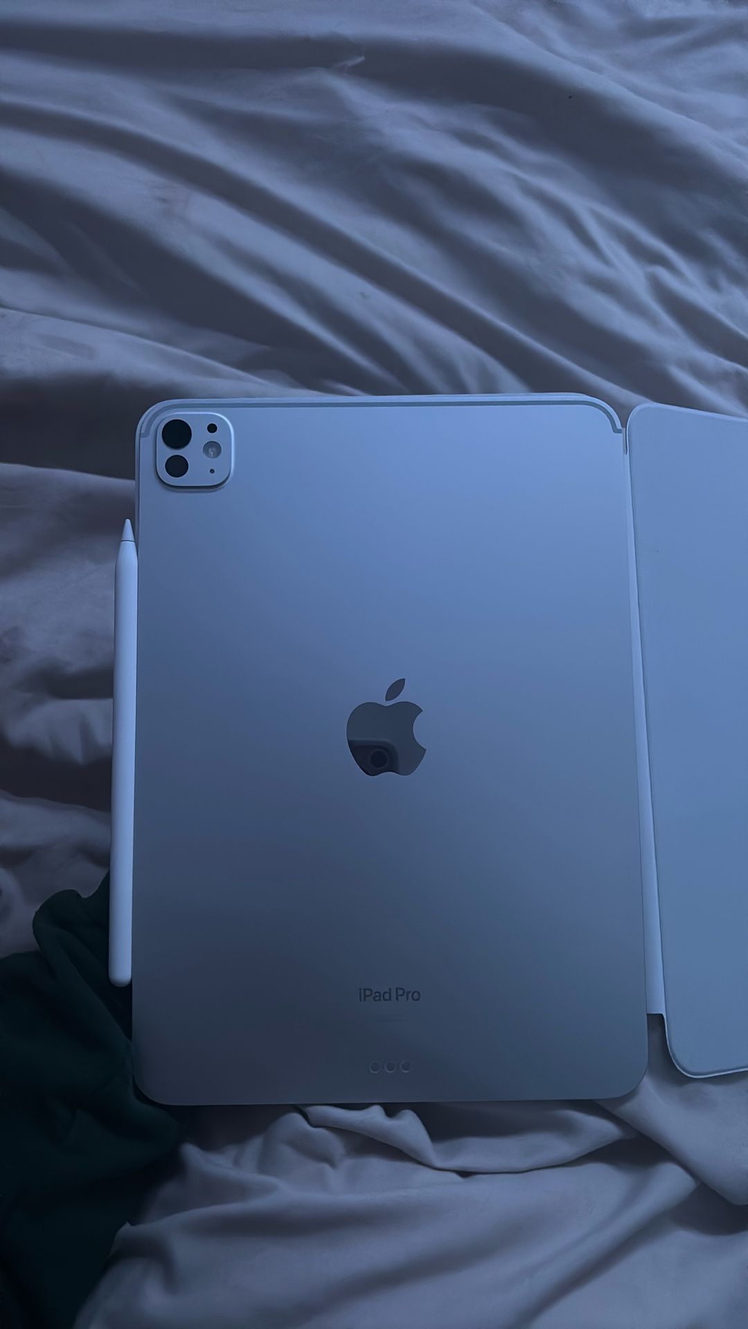 NEW iPad Pro 11inch Model. SILVER. purchase in September. Sadly I Just Need The Money. I Love It More Than Anything.