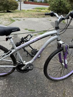 Schwinn Atlas Mountain Bike – Ready to Ride 🚲