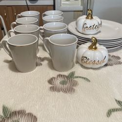 16 Piezas