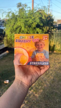 Cheese squishy