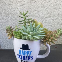 Happy Father’s Day Coffee Mug With Succulents Plant .