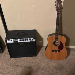 Peavey ELECTRIC ACOUSTIC Guitar and 110V AMP
