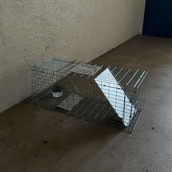 Animal trap