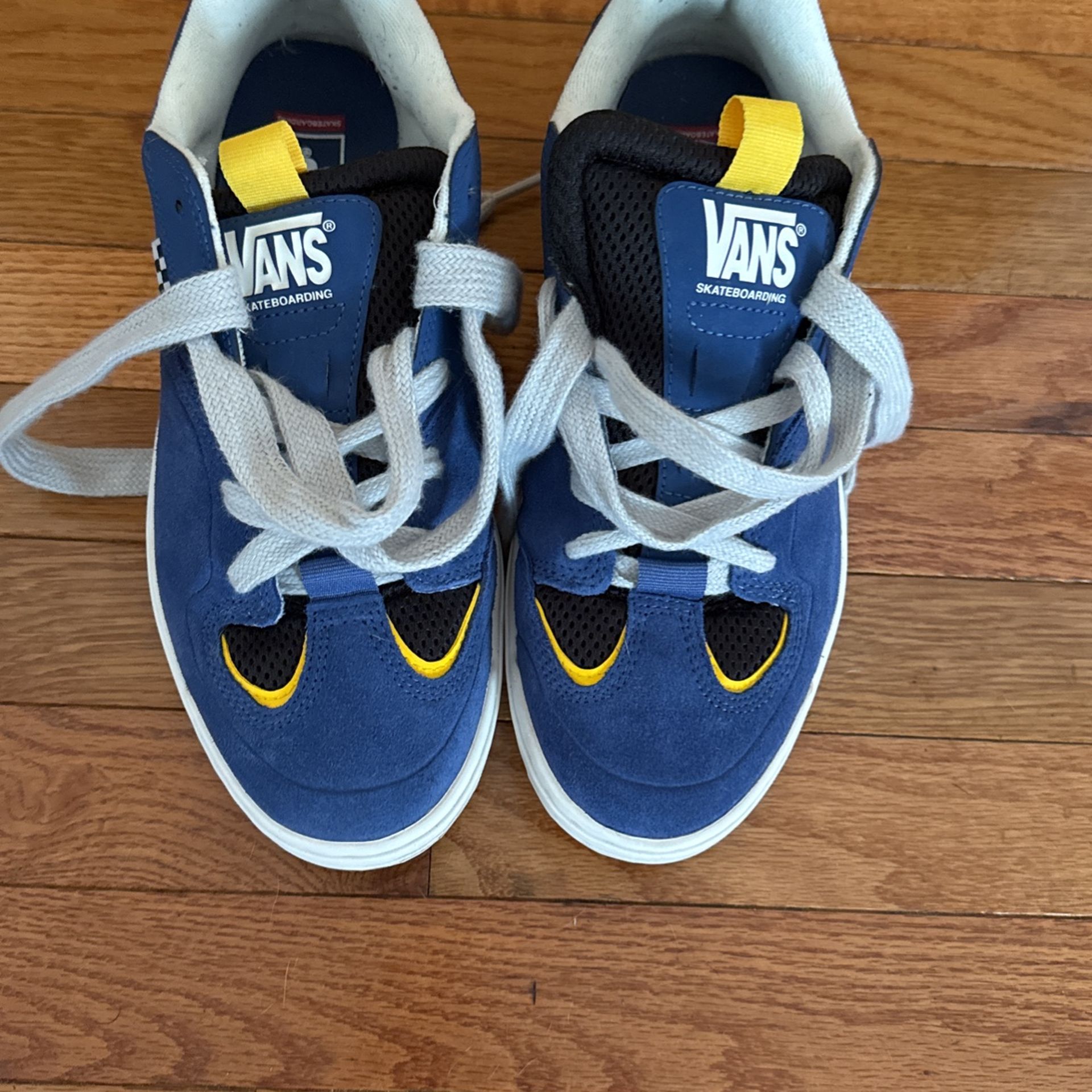 Vans Skate Shoes