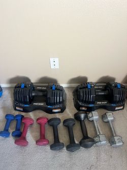 NordicTrack adjustable weights  / free weights