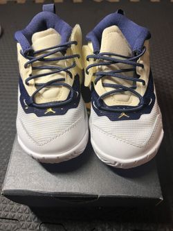 Jordan Zion 1 (5c)