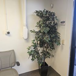 Indoor Plant Decor Tree